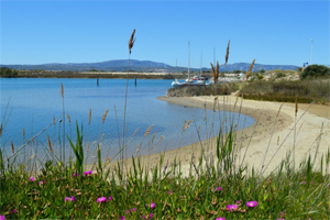 Vue de la plage : location vacances naturiste à Leucate